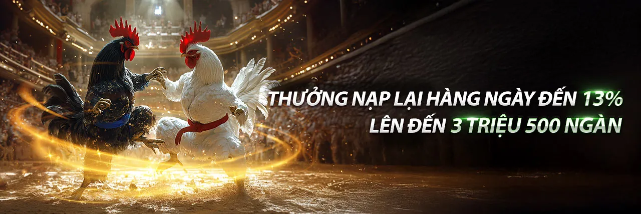 Đá Gà Thomo 30 12 Trực Tiếp